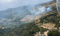 Balıkesir'de orman yangını! Yangına müdahale devam ediyor
