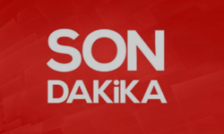 Danimarka Başbakanı Saldırıya Uğradı