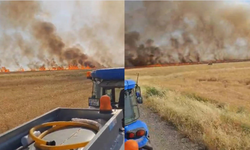 500 Dönüm buğday çıkan yangında kül oldu
