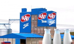Süt markası iflas etti: Fabrika satışa çıkıyor