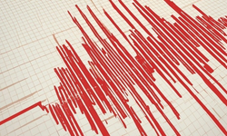 Pasifik ada ülkesi Vanuatu'da deprem yaşandı!