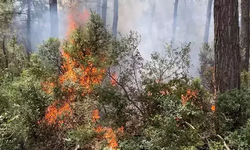 AKOM orman yangını uyarısı yaptı