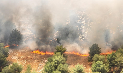 Adıyaman'da Orman Yangını Kontrol Altına Alındı