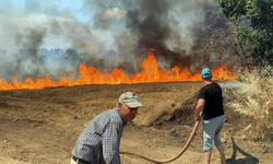 Edirne'de buğday tarlasında yangın: Alevler ağaçlara sıçradı