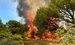Yunanistan'da Orman Yangını: Köyler boşaltılıyor