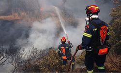 Yunanistan'da 24 saatte 52 orman yangını