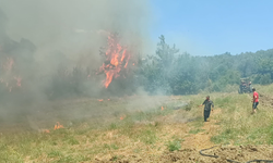 Adana'da orman yangını: Müdahale devam ediyor