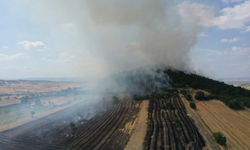 Balıkesir'de Orman Yangını: Havadan ve Karadan Müdahale Ediliyor