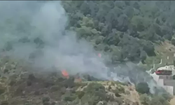 İzmir'de orman yangını 3 saatte kontrol altına alındı