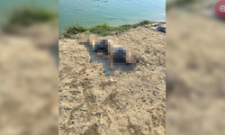 Mersin'de kanalda bir çocuğa ait cansız beden bulundu