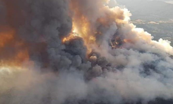 Ankara'da Orman Yangını Kontrol Altına Alındı