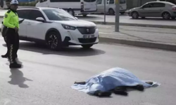 Antalya'da Yaya Otomobile Çarptı, Yaralandı