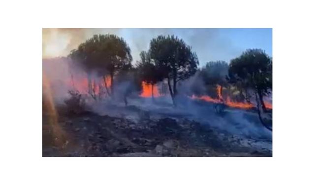 Sancaktepe'deki Yangın Kontrol Altına Alındı