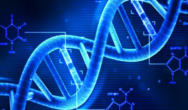 Bilim İnsanları Tarafından Yapay DNA Modeli Oluşturuldu!