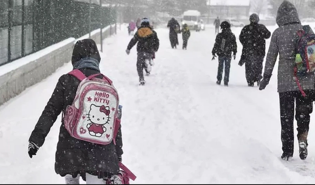 Kar eğitimi olumsuz etkiliyor: İki ilde okullar tatil edildi