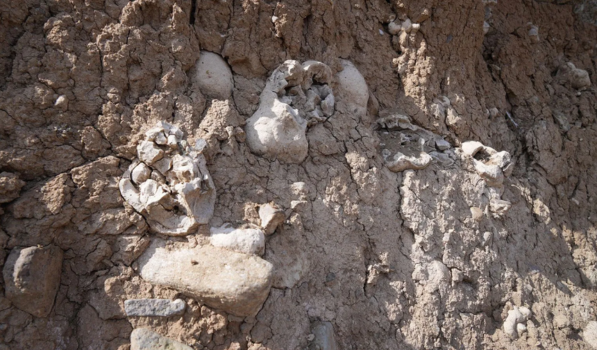 Niğde Valiliği: "Dinozor Fosili" İddiası Traverten Taşlarına Ait