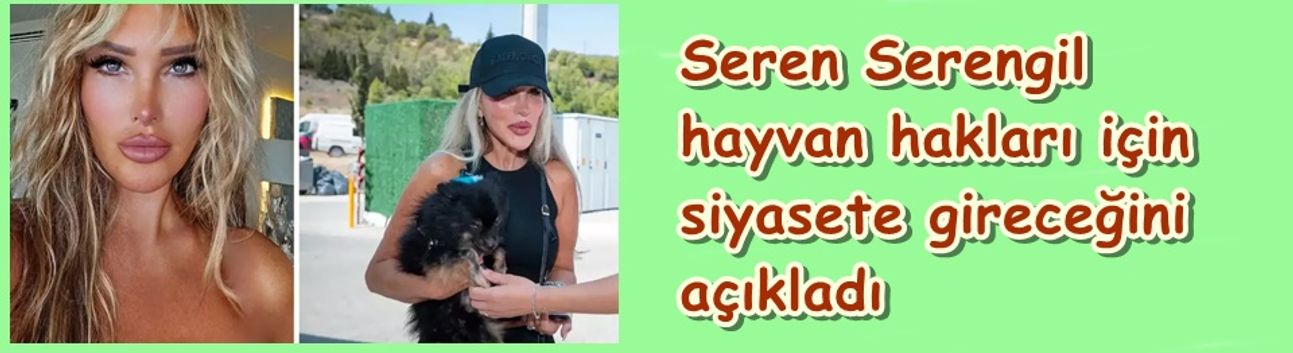 Seren Serengil hayvan hakları için siyasete gireceğini açıkladı